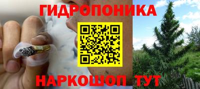 PSILOCYBIN Лесосибирск