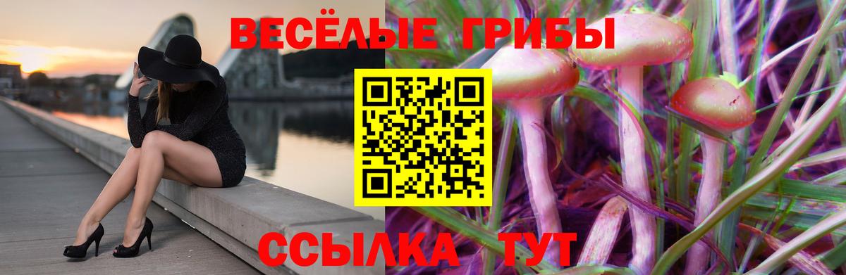 Старая Купавна  Псилоцибиновые грибы Psilocybine cubensis  Вход с VPN 
